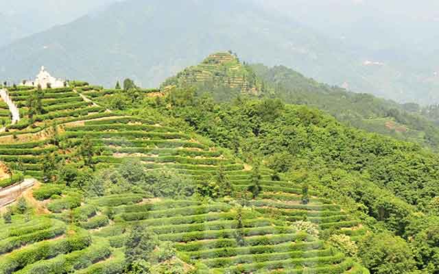 網(wǎng)站首頁(yè)banner_m_2